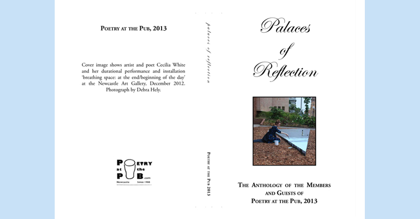 Palaces of Reflection_2013_Picaro Press